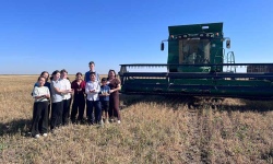 От зерна до хлеба